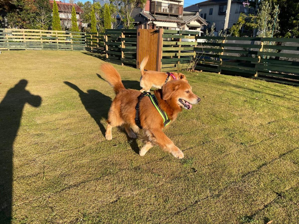 ワンちゃんと泊まれるコテージ　西野納屋 九十九里町 エクステリア 写真